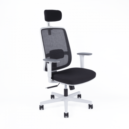 Kancelářská ergonomická židle Office Pro CANTO W — černá / bílá