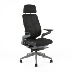 Kancelářská ergonomická židle Office Pro KARME MESH —  více barev Černá A10